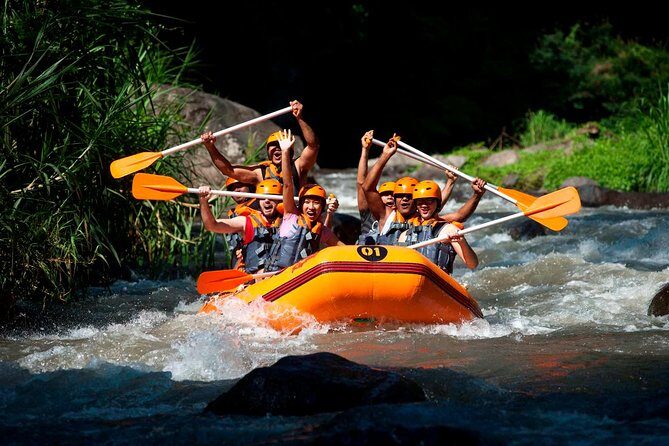 Bali Ayung River White Water Rafting with Transport - Ayung River rafting from Ubud: a gorge day that feels made for real life