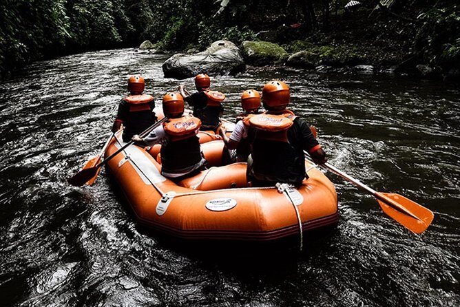 Bali Ayung River White Water Rafting with Transport - Price and value: why $53 can be a fair deal here