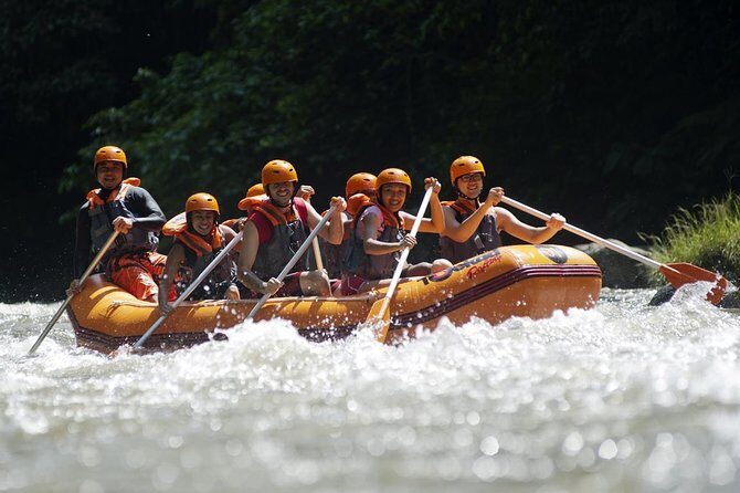 Bali Ayung River White Water Rafting with Transport - The rapids reality check: Grade II–III most days, Grade IV after rain