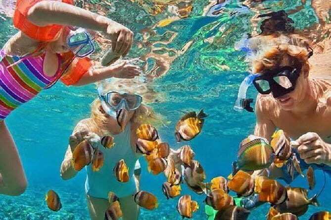 Bali : Blue Lagoon Snorkeling combine with Bali Swing in Ubud - Tegalalang rice terraces and Jungle Swing photos