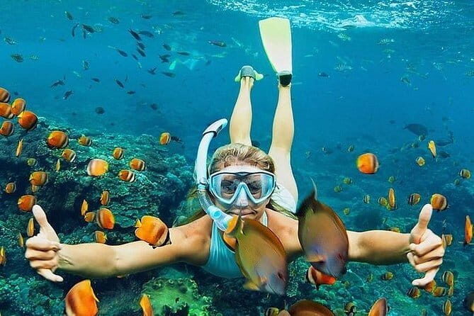 Bali : Blue Lagoon Snorkeling combine with Bali Swing in Ubud - Price and value: is $70 worth it?