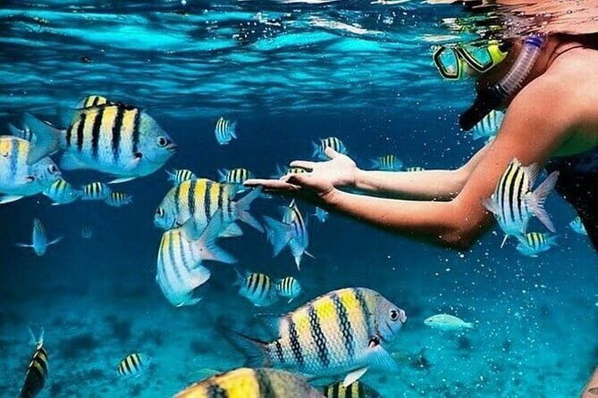 Bali Blue Lagoon Snorkeling with Waterfalls Tour - all included - Key highlights worth planning around