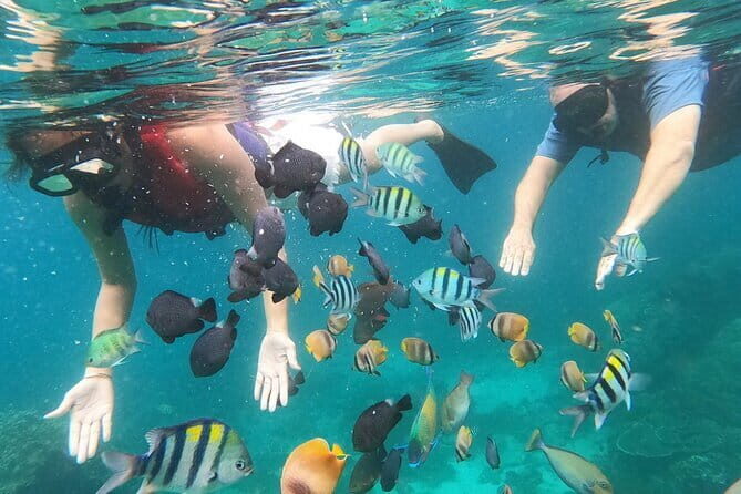 Bali Blue Lagoon Snorkeling with Waterfalls Tour - all included - Taman Sari Waterfall and natural pool: the big photo moment