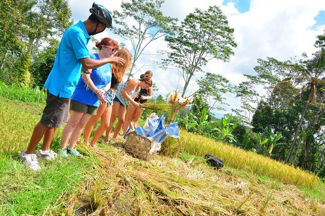 Bali Countryside Cycling Tours - Taman Bali and Pura Taman Narmada Bali Raja: Temple + Paddies