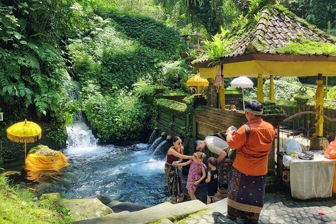 Bali Customizable Multi Language Tour with Driver-Guide - Key things to know before you go