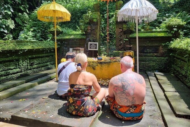 Bali Customizable Multi Language Tour with Driver-Guide - The “design your own itinerary” part, explained plainly