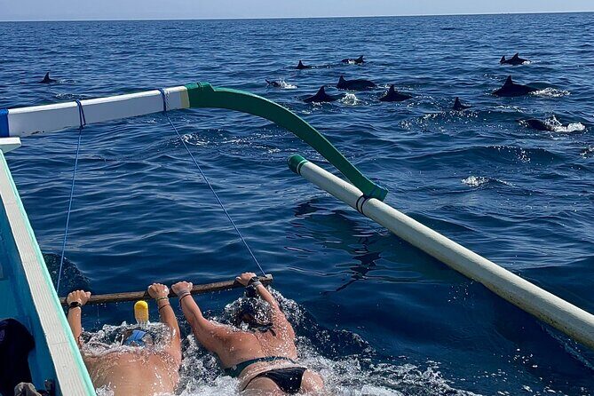 Bali : Dolphin Sunrise Experience Tour Private All Inclusive - Key things that make this tour worth your time