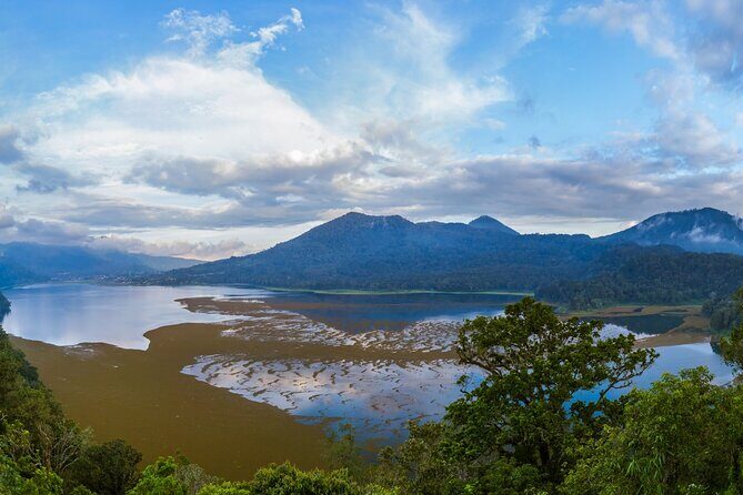 Bali : Dolphin Sunrise Experience Tour Private All Inclusive - Stop 4: Optional Luwus Village and an Organic Coffee Stop