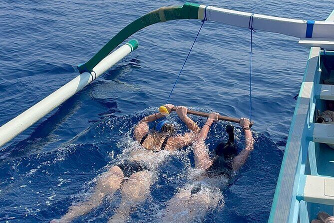 Bali : Dolphin Sunrise Experience Tour Private All Inclusive - Getting Started at 4:30 am: Pickup and Time Feel