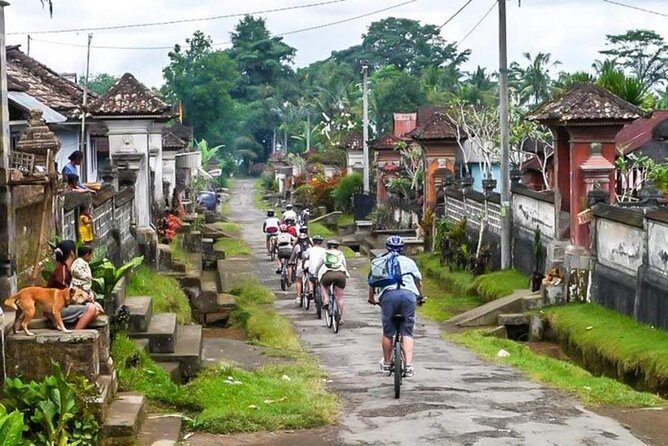 Bali Downhill Cycling and White Water Rafting - Kintamani-to-Ubud cycling: why this route works