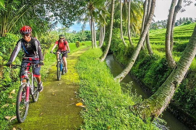 Bali Downhill Cycling and White Water Rafting - The 2.5-hour downhill ride: views, villages, and real stops