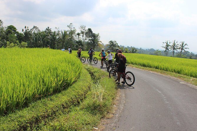 Bali Downhill Cycling and White Water Rafting - Lunch and the pacing: fitting two adventures in one day