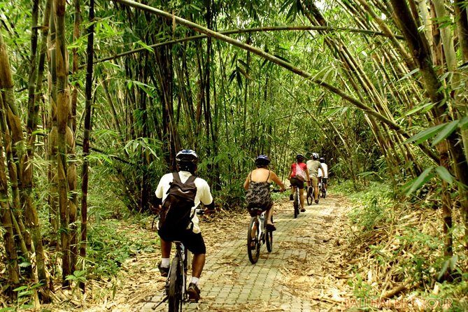 Bali Downhill Cycling and White Water Rafting - What you pay for: value of $100 and a small-group setup