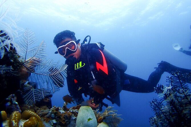 Bali Full Day Experience Scuba Diving Tour at Tulamben - Key things I’d zero in on