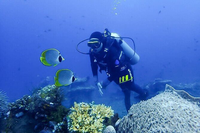 Bali Full Day Experience Scuba Diving Tour at Tulamben - Stop two: USAT Liberty wreck and what makes it special after almost 100 years