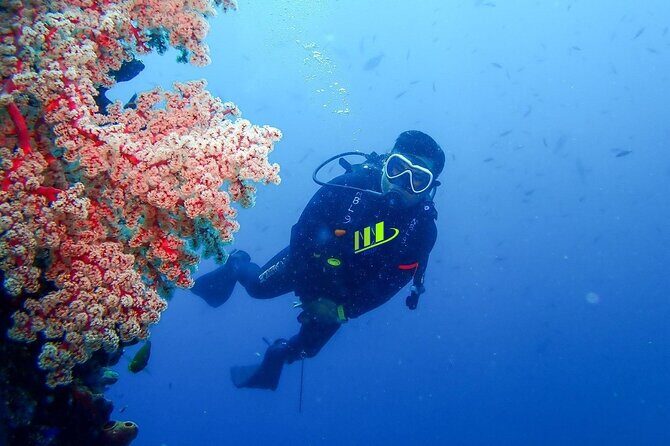 Bali Full Day Experience Scuba Diving Tour at Tulamben - Price and what you actually get for $109.10