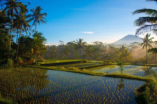 Bali Full Day Photography Tour - Mount Agung sunrise: the photo advantage of getting up early
