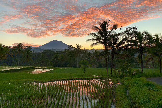 Bali Full Day Photography Tour - Pickup, small group pacing, and what to bring for a smooth 5:30am day