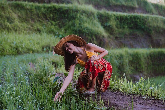 Bali Full Day Tour: Highlights of Ubud and Hidden Waterfall - Entering Ubud in a Single Long Day