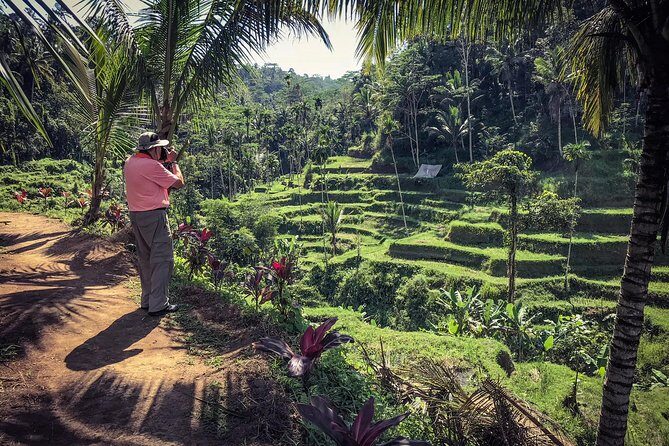 Bali Half Day Photography Tour - Tirta Empul water temple: purification ceremony photo opportunities