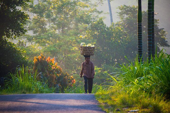 Bali Half Day Photography Tour - What’s included, what’s not, and how to plan your morning