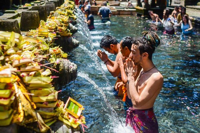 Bali Highlights Private Tour with Elephant Cave and Rice Field - Price and value: why $44.88 can make sense for a 10-hour private day