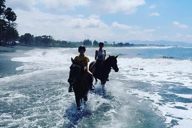 Bali Horse Riding Trot & Canter Saba Beach with Local Temple - Your Ride Starts at Saba Beach, Not a Big Production