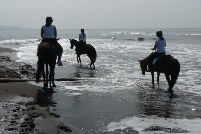 Bali Horse Riding Trot & Canter Saba Beach with Local Temple - Photos and Video: Why This Ride Works Even If You’re Not a Horse Person