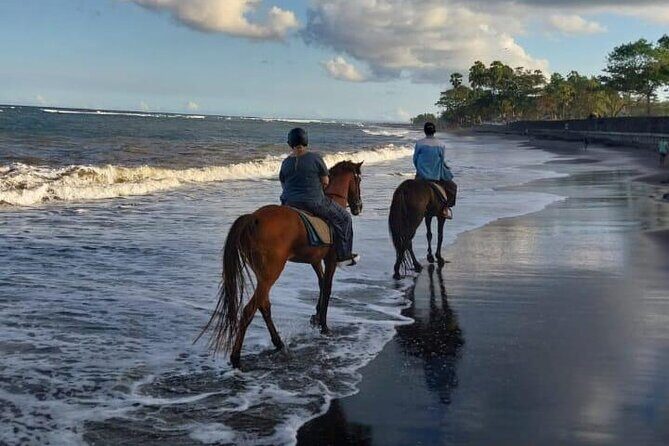 Bali Horse Riding Trot & Canter Saba Beach with Local Temple - Included Goodies: Helmet, Locker, Water, and Transportation