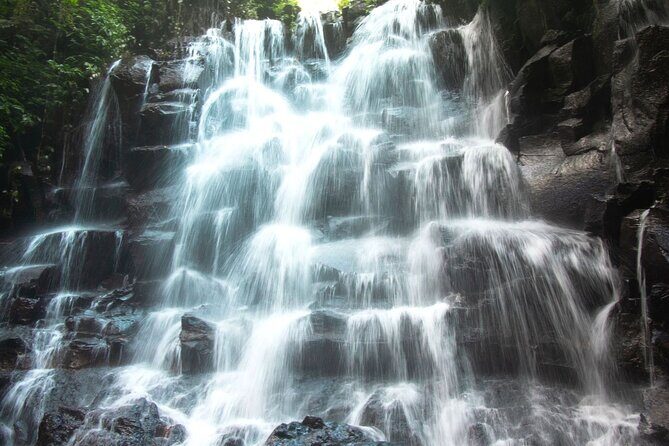 Bali Instagram Tour- Most Scenic Spots in Bali - Who this Bali Instagram Tour is best for (and who should rethink it)