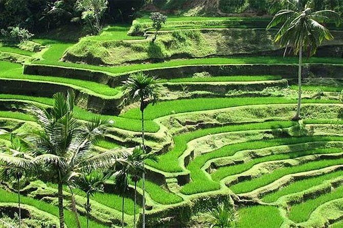 Bali Instagram Tour : The Most Popular Spots In Bali - Tirta Gangga: The Royal Water Palace and Its Symmetry