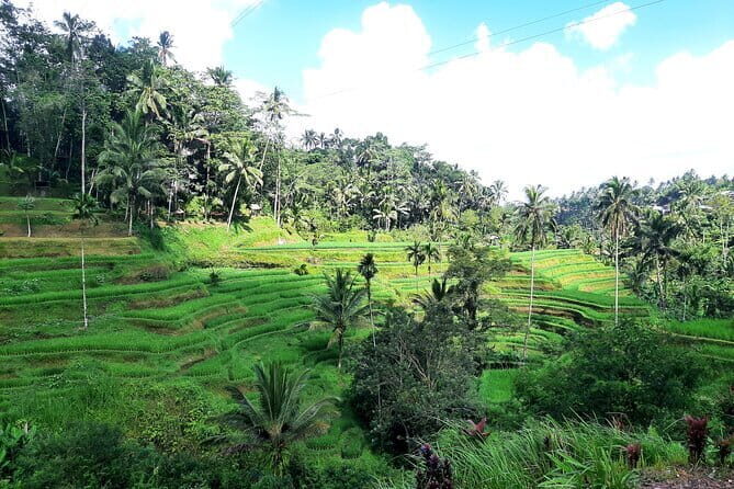BALI INSTAGRAM TOURS; Heaven Gate, Tirta Gangga, Tukad Cepung waterfall - Tukad Cepung waterfall: walking through the canyon to the cave light