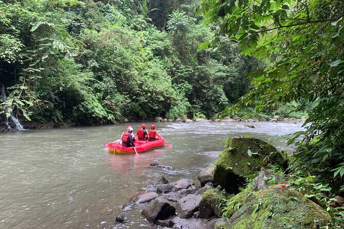Bali Jungle White Water Rafting Adventure - The Rafting Portion: Jungle Rapids, Waterfalls, and Real Team Paddling