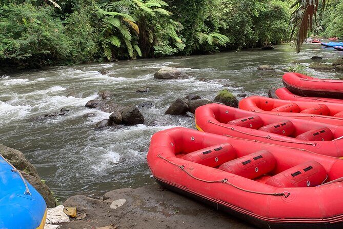Bali Jungle White Water Rafting Adventure - The Calm Float: Hindu Shrines, Birds, Monkeys, and Slower Views