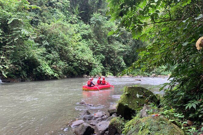 Bali Jungle White Water Rafting Adventure - Small Group Energy: What a Max of 9 Travelers Changes