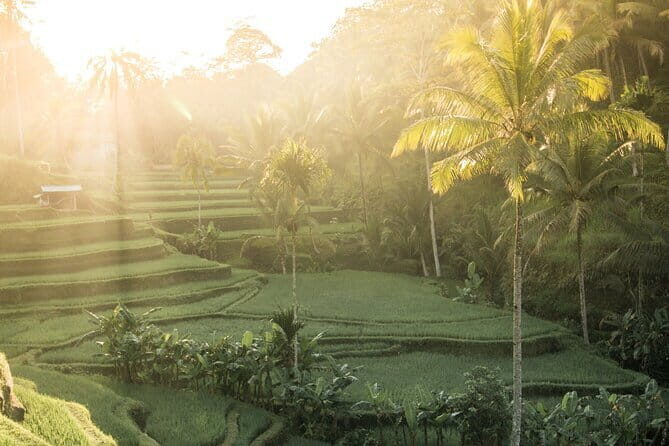 Bali: Lempuyang Temple, Waterfall & Rice Terrace Private Tour - A 4:30 a.m. private start that makes the whole day work