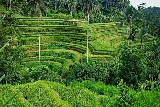 Bali Lempuyang Temple, Waterfall with Rice Terrace Tour - A full-day route from Lempuyang to Tegalalang (why it works)