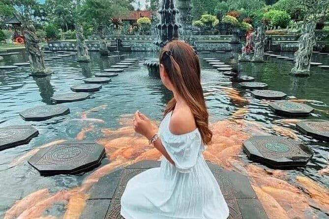 Bali Lempuyang Temple, Waterfall with Rice Terrace Tour - Private, English-led touring that stays practical
