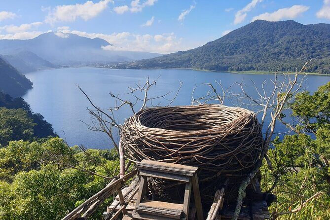 Bali Lovina Dolphin and North Bali Sightseeing - All Inclusive - Key highlights before you go