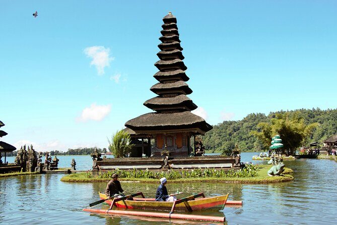 Bali Lovina Dolphin and North Bali Sightseeing - All Inclusive - Transportation, private group flow, and why the driver matters