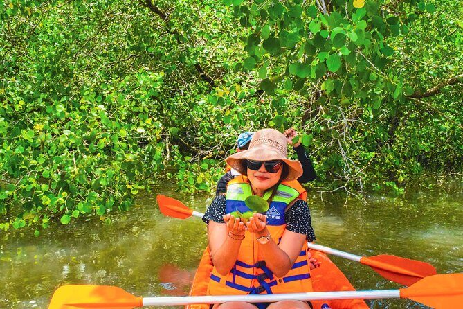 Bali Mangrove Canoeing Tour - Why Bali’s Mangroves Are Worth Trading Time For