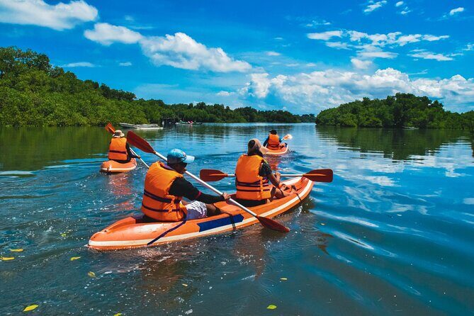Bali Mangrove Canoeing Tour - What to Pack: Shoes, Clothes Change, Sunscreen, and Comfort
