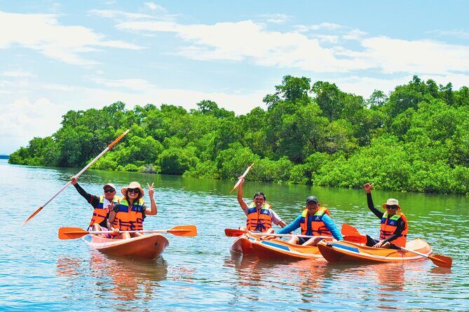 Bali Mangrove Canoeing Tour - Getting There: Hotel Pickup and the PT JTB Indonesia Briefing