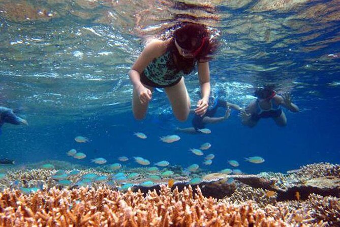 Bali Menjangan Island Snorkeling Day Tour - The early start and long drive from Ubud (and how to handle it)