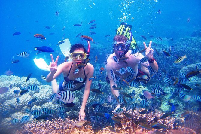 Bali Menjangan Island Snorkeling Day Tour - Your day laid out: Kuta Beach to Menjangan snorkeling