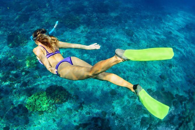 Bali Menjangan Island Snorkeling Day Tour - Price and value: is $132 a fair deal?