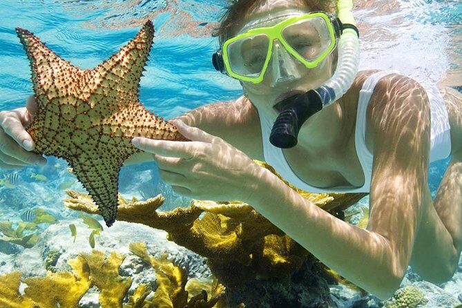 Bali Menjangan Island Snorkeling Day Tour - Group size and guide style: why it matters for snorkeling