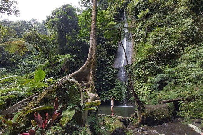 Bali Most Scenic Waterfalls Trekking - Lunch by the Lakes: The “Okay, I earned this” part