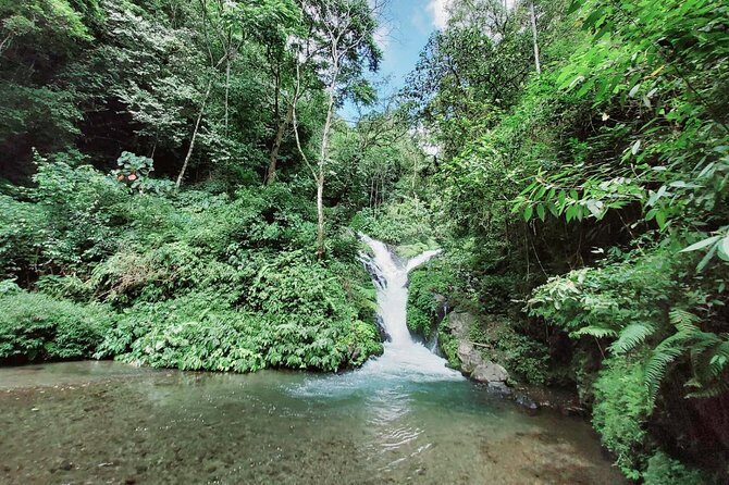 Bali Most Scenic Waterfalls Trekking - Trekking to Seven Waterfalls: What the Walking Day Really Means