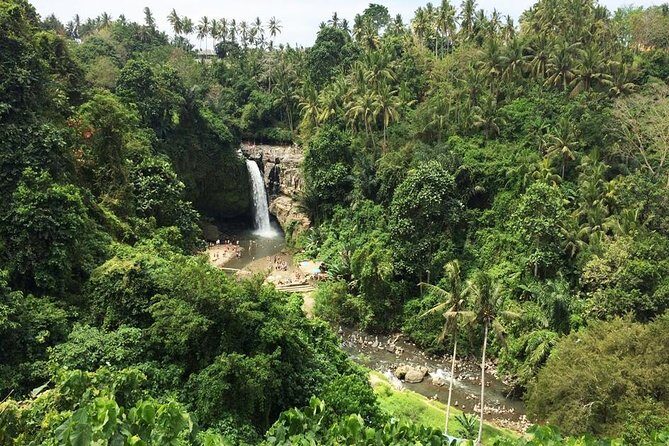 Bali Night Market Experience and Ubud Highlights tour - Why the guide makes or breaks this day